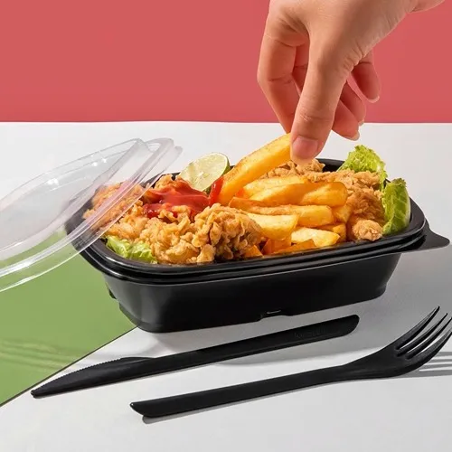 راهنمای ظروف یکبار مصرف