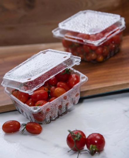   ظرف بسته بندی یکبار مصرف