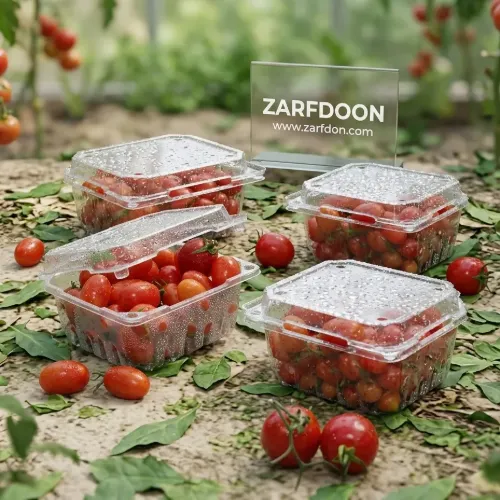 ظرف گوجه گیلاسی؛ بهترین انتخاب برای بسته بندی گوجه چری